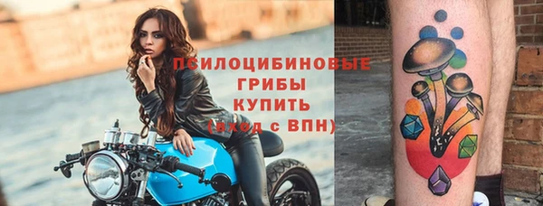 хмурый Вяземский